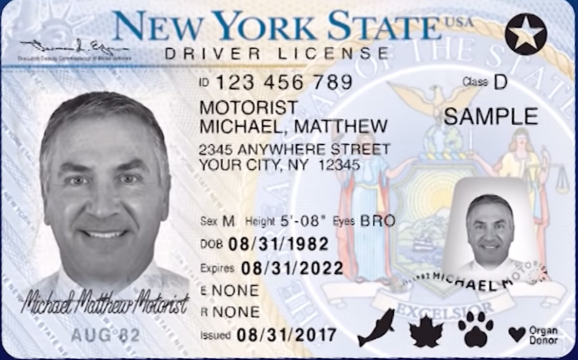 Buy New York Driver's License