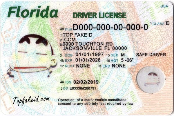 Fake Florida driver license