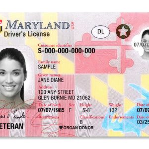 Fake Maryland Driver License