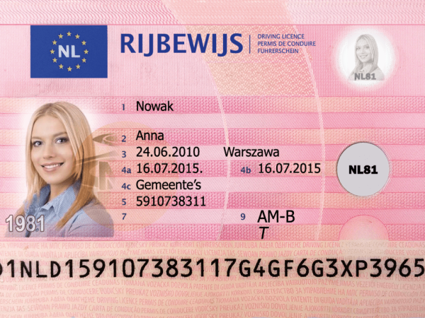 Buy Real Driving License of Netherlands