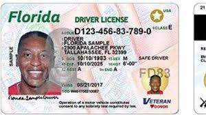 Buy Florida Driver License and ID Cards - Driving License