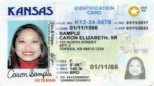 Buy Kansas Driver License and ID Cards - Driving License