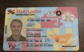 Buy Maryland Driver License and ID Cards - Driving License