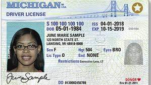 Buy Michigan Driver License and ID Cards - Driving License